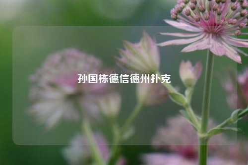 孙国栋德信德州扑克