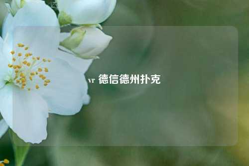 vr 德信德州扑克