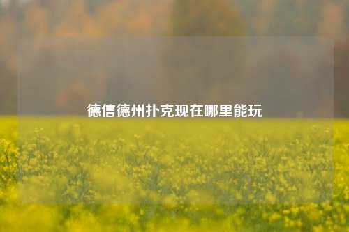 德信德州扑克现在哪里能玩