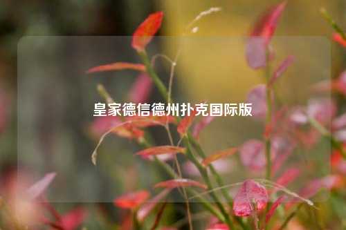 皇家德信德州扑克国际版