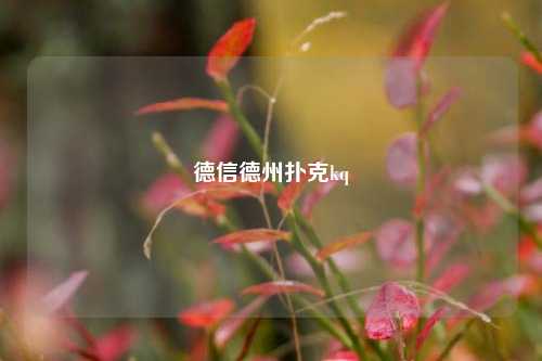 德信德州扑克kq