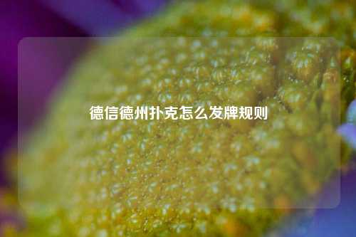 德信德州扑克怎么发牌规则