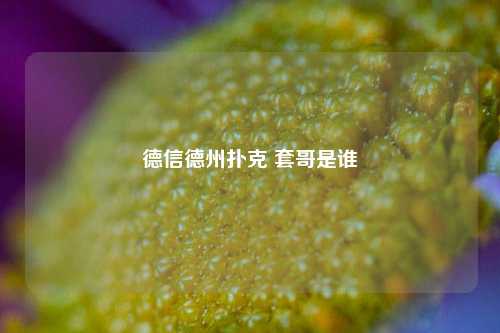 德信德州扑克 套哥是谁