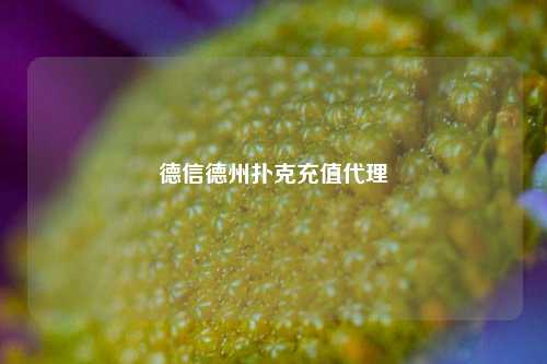 德信德州扑克充值代理