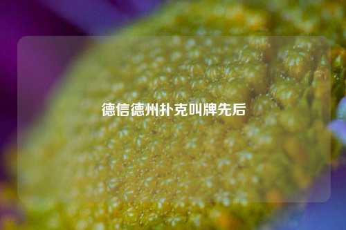 德信德州扑克叫牌先后