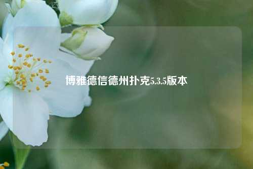 博雅德信德州扑克5.3.5版本