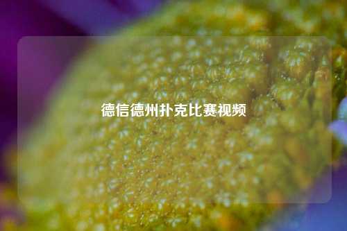 德信德州扑克比赛视频