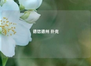 德信德州 扑克