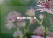 巅峰德信德州扑克