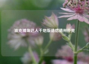 波克捕鱼达人千炮版德信德州扑克