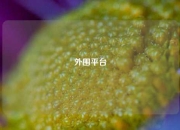 外围平台
