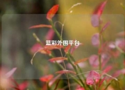 篮彩外围平台
