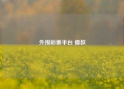外围彩票平台 借款