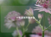 一年滚球外围平台
