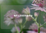 有什么好的外围平台