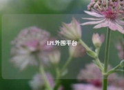 LPL外围平台