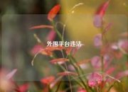 外围平台违法