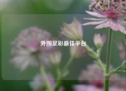 外围足彩最佳平台