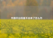 外围平台钱提不出来了怎么办
