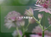 十大外围平台