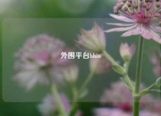 外围平台bbin