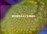 德信德州扑克七张牌梭哈