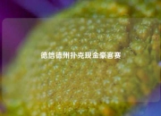 德信德州扑克现金豪客赛