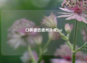 口袋德信德州扑克2.65