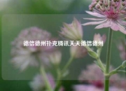 德信德州扑克腾讯天天德信德州