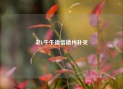 老k牛牛德信德州扑克