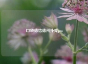 口袋德信德州扑克pro