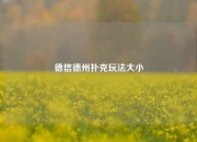 德信德州扑克玩法大小