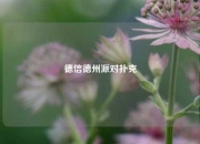 德信德州派对扑克