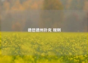 德信德州扑克 规则