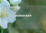 德信德州扑克技术