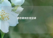 德信德州扑克安卓