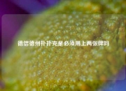 德信德州扑扑克是必须用上两张牌吗
