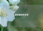 德信德州扑扑克