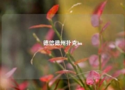 德信德州扑克hu