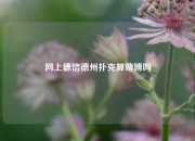 网上德信德州扑克算赌博吗