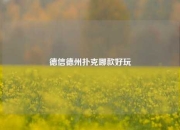 德信德州扑克哪款好玩