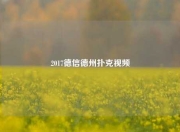 2017德信德州扑克视频