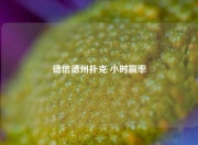 德信德州扑克 小时赢率
