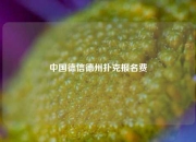 中国德信德州扑克报名费