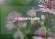 在线德信德州扑克博狗