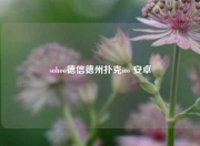 sohoo德信德州扑克ios 安卓