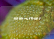 德信德州扑克零基础教学