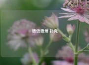 德信德州 扑克