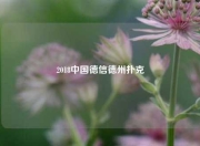 2018中国德信德州扑克