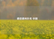 德信德州扑克 中国